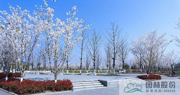 电竞比赛押注app