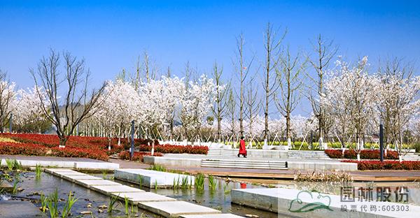 电竞比赛押注app