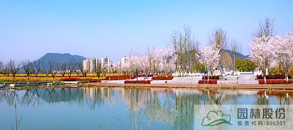 电竞比赛押注app