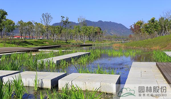 电竞比赛押注app