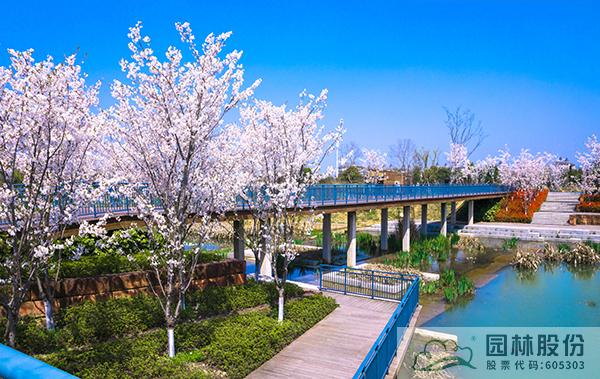 电竞比赛押注app