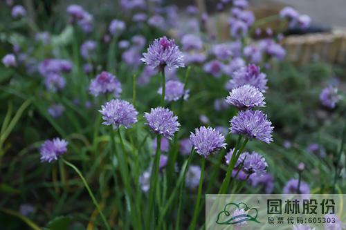 电竞比赛押注app