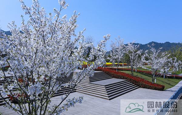 电竞比赛押注app