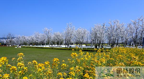 电竞比赛押注app