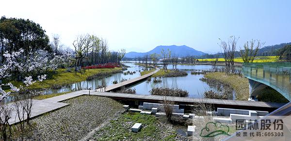 电竞比赛押注app