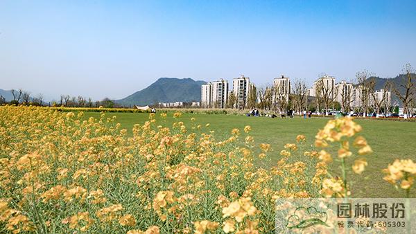 电竞比赛押注app