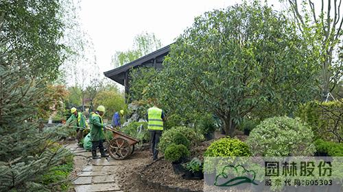 电竞比赛押注app