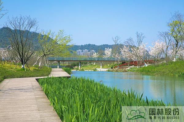 电竞比赛押注app