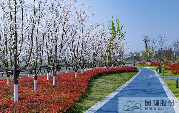 电竞比赛押注app