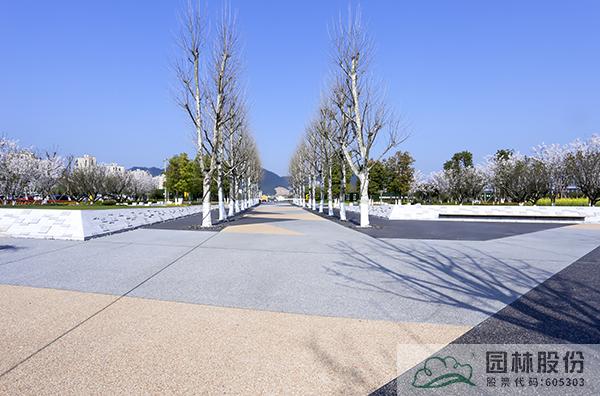 电竞比赛押注app