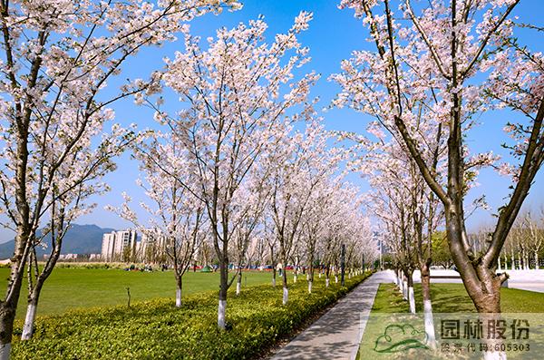 电竞比赛押注app