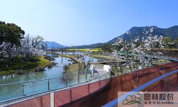 电竞比赛押注app