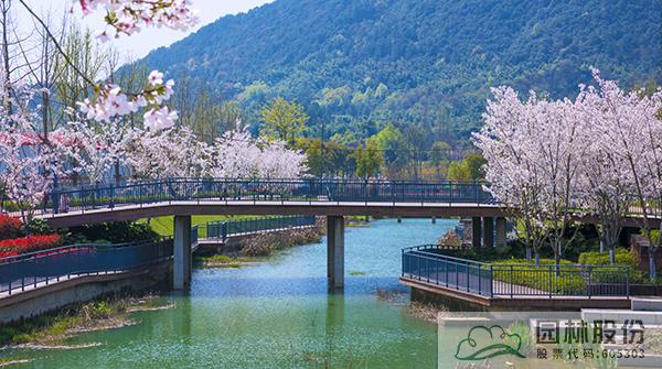 电竞比赛押注app