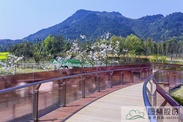 电竞比赛押注app