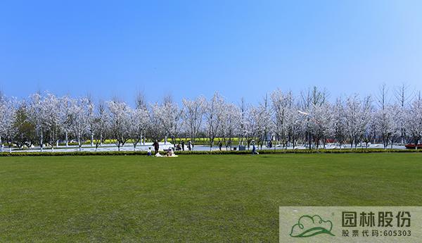 电竞比赛押注app