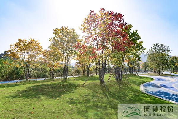 电竞比赛押注app