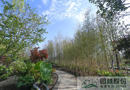 电竞比赛押注app