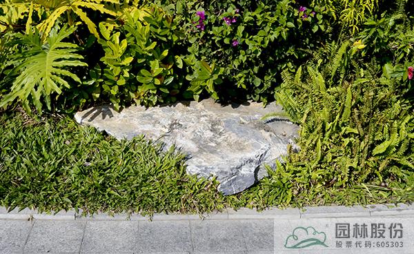 电竞比赛押注app