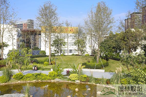 电竞比赛押注app