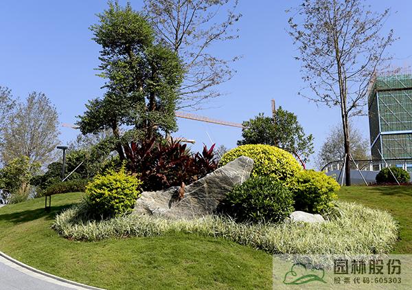 电竞比赛押注app