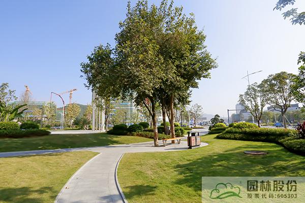 电竞比赛押注app