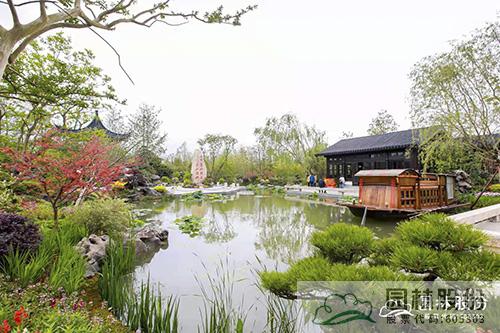 电竞比赛押注app