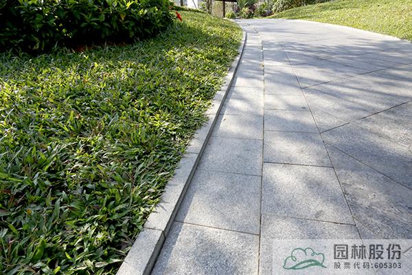 电竞比赛押注app