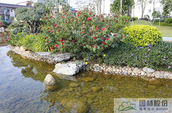 电竞比赛押注app