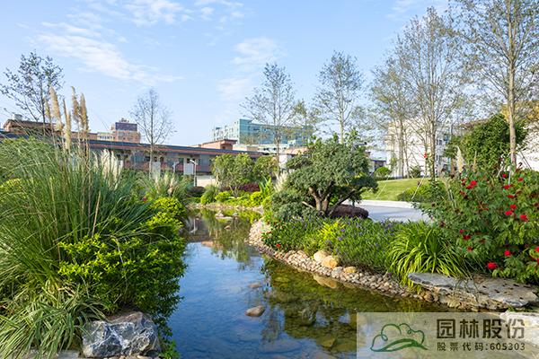 电竞比赛押注app