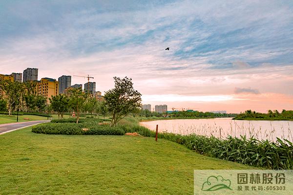 电竞比赛押注app