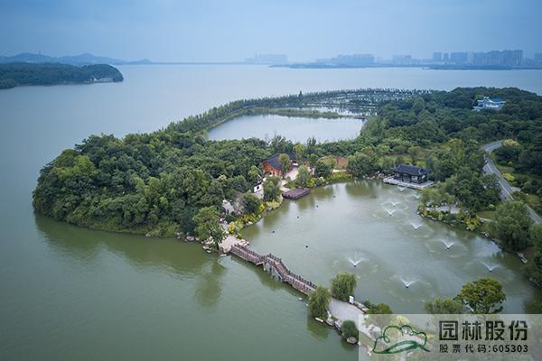 电竞比赛押注app