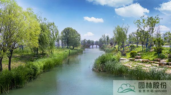 电竞比赛押注app