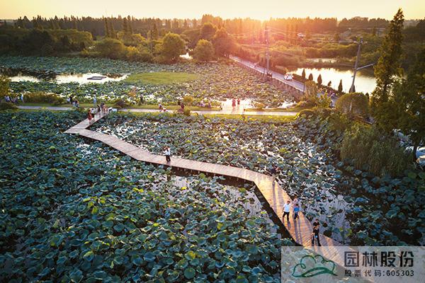 电竞比赛押注app