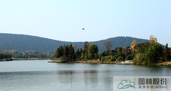 电竞比赛押注app