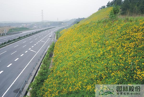 电竞比赛押注app