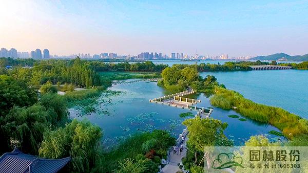 电竞比赛押注app