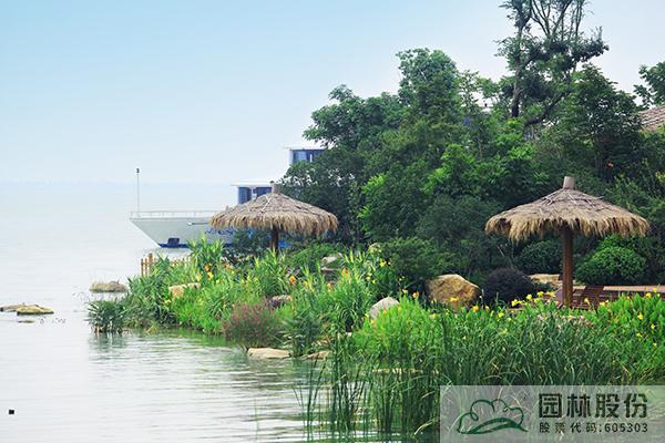 电竞比赛押注app