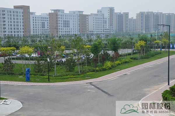 电竞比赛押注app