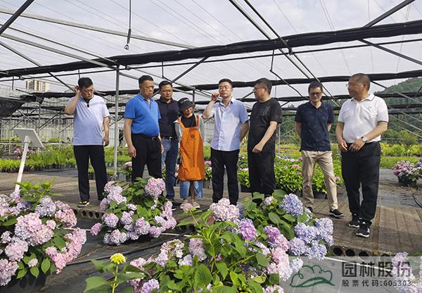 电竞比赛押注app