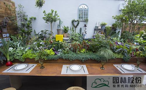 电竞比赛押注app