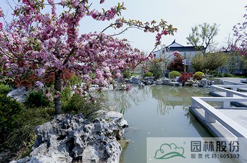 电竞比赛押注app