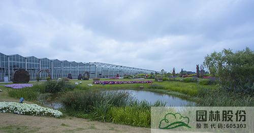 电竞比赛押注app