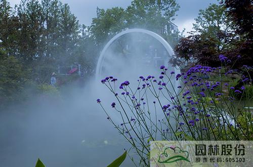 电竞比赛押注app