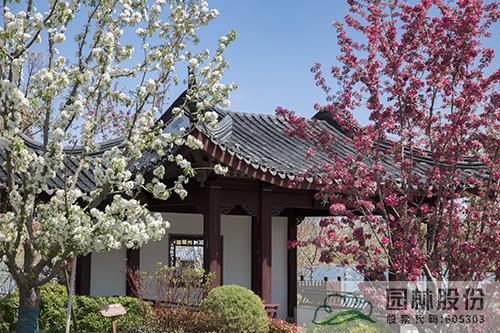 电竞比赛押注app