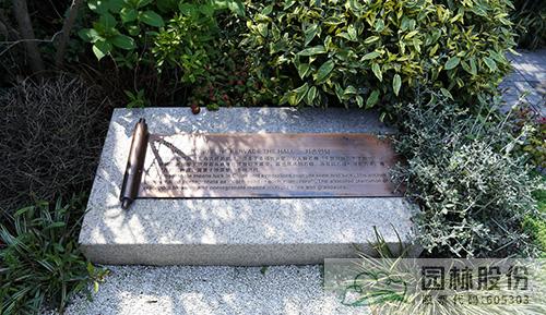 电竞比赛押注app