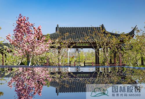 电竞比赛押注app