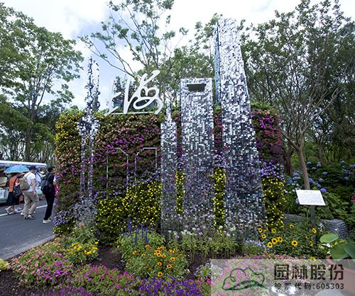 电竞比赛押注app