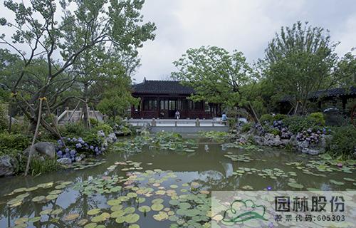 电竞比赛押注app