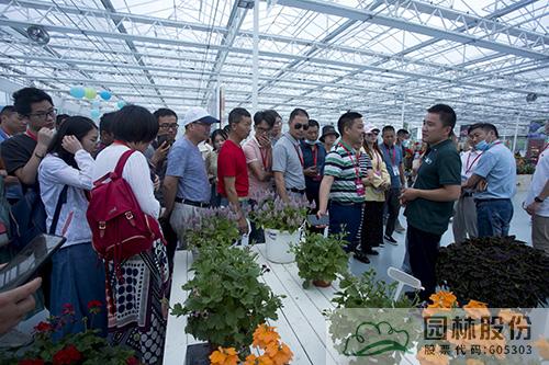 电竞比赛押注app