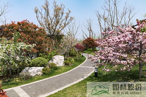 电竞比赛押注app